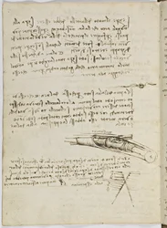 Birds Flight Code, Sheet 6 Verso